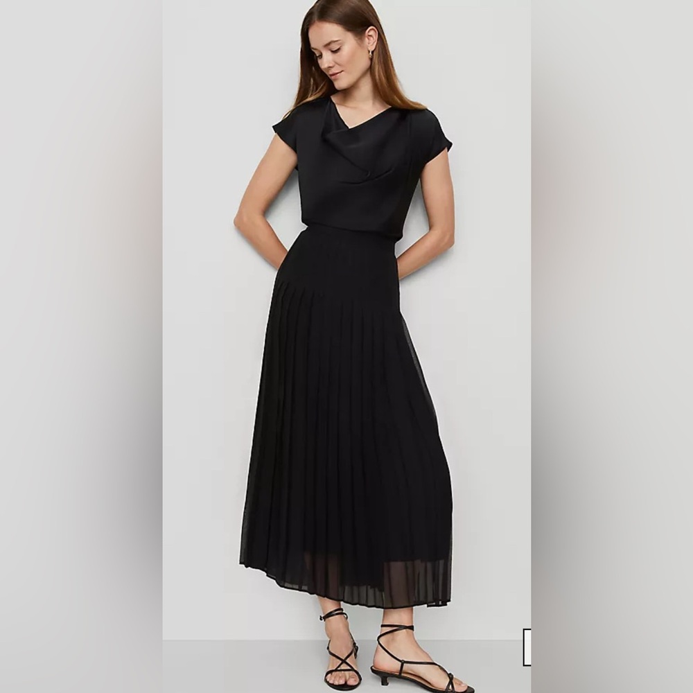 Ann Taylor pleated SHEER Maxi Skirt